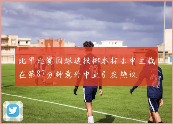 比甲比赛因球迷投掷水杯击中主裁在第87分钟意外中止引发热议