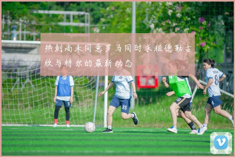 热刺尚未同意罗马同时求租德勒古欣与特尔的最新动态