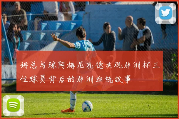 姆总与琼阿梅尼孔德共观非洲杯三位球员背后的非洲血统故事