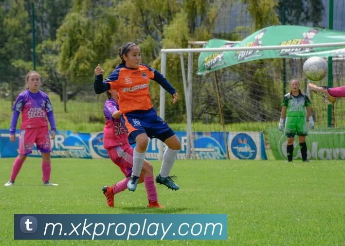 星空体育服务体系